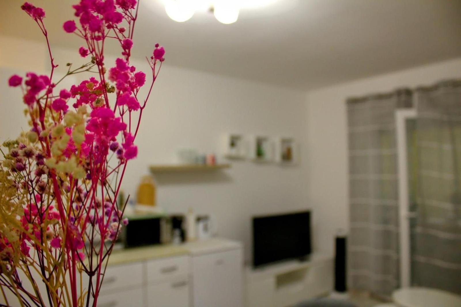 Apartment Danijela Zadar Eksteriør billede